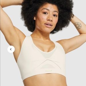 Whitney Simmons V3 sports bra